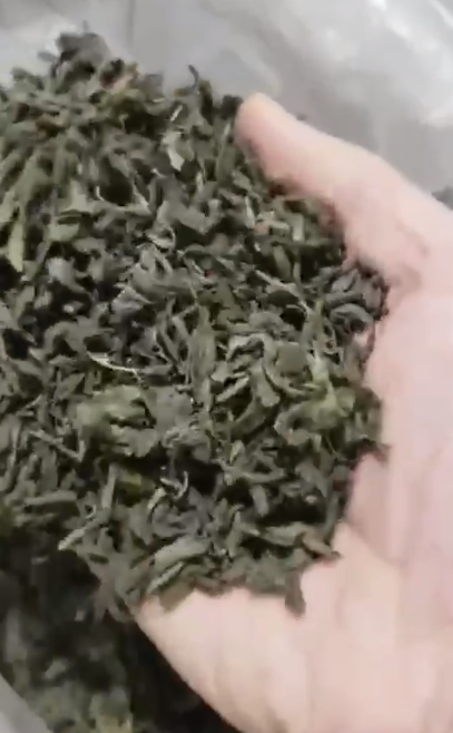 چای سیاه سفید سبز ترش ایرانی